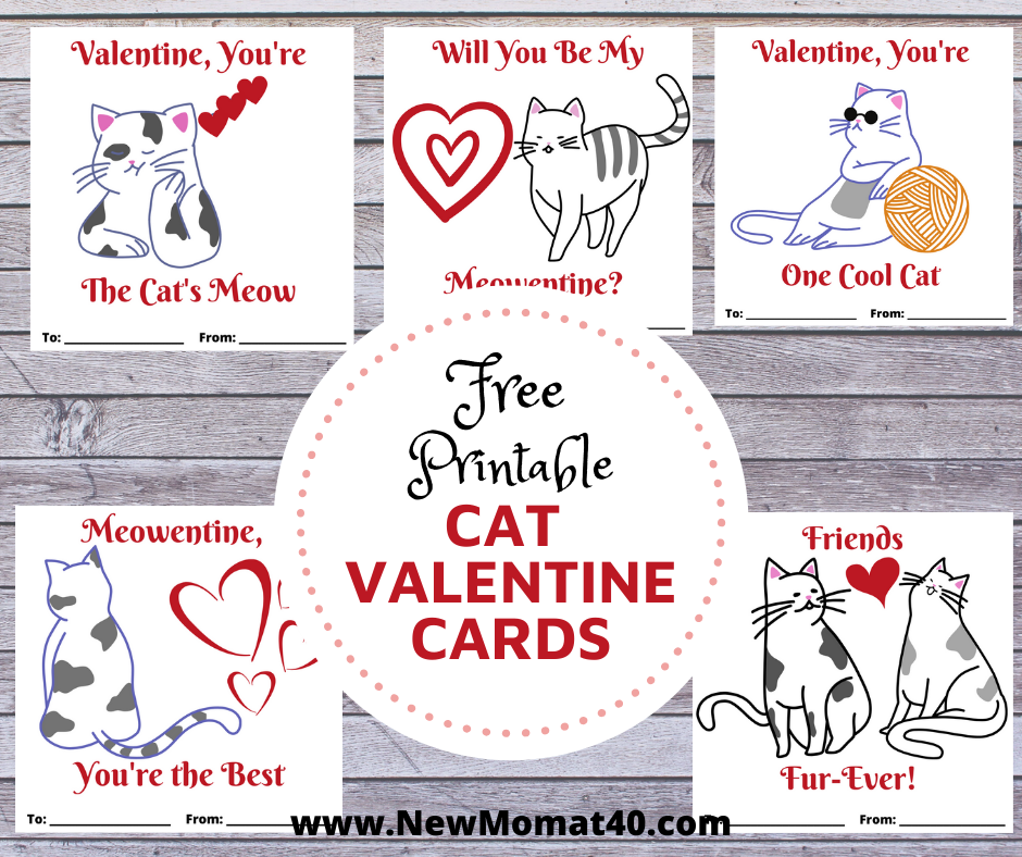 Free Printable Cat Valentine s Day Cards New Mom At 40