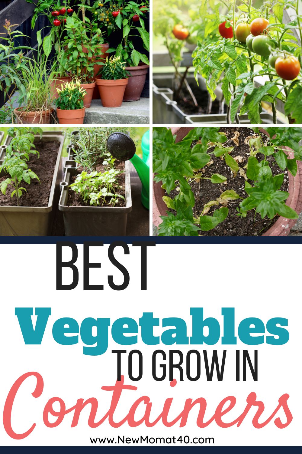 The Best Vegetables To Grow In Containers - New Mom At 40